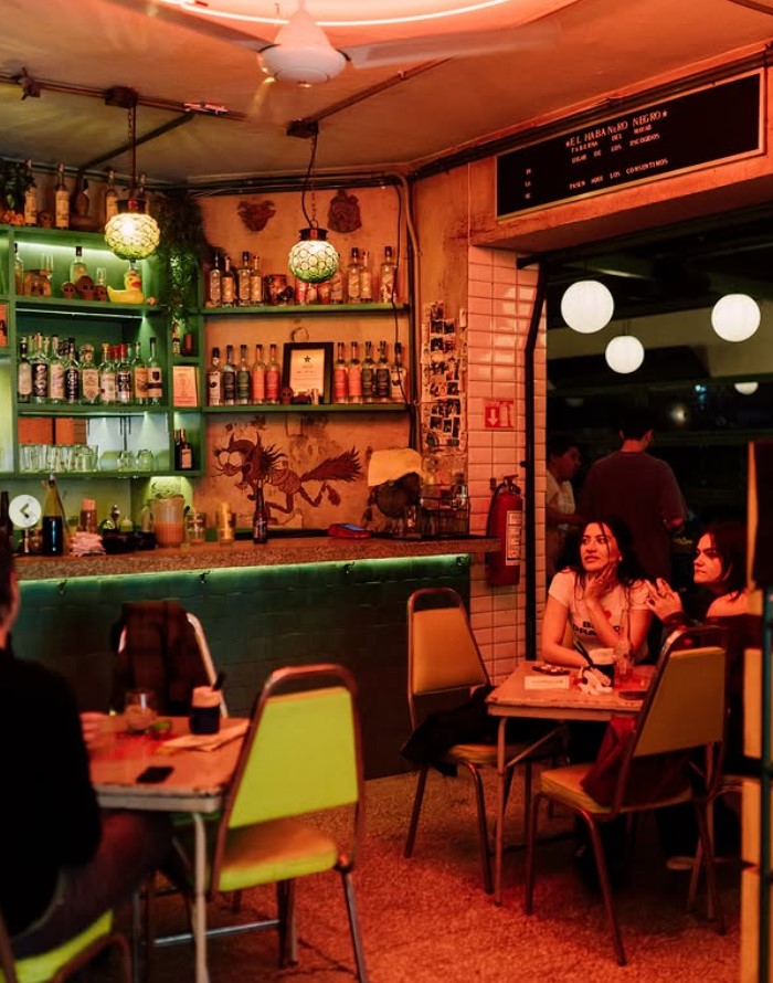 where to drink tequila in guadalajara - ou boire de la tequila a guadalajara - El Habanero Negro