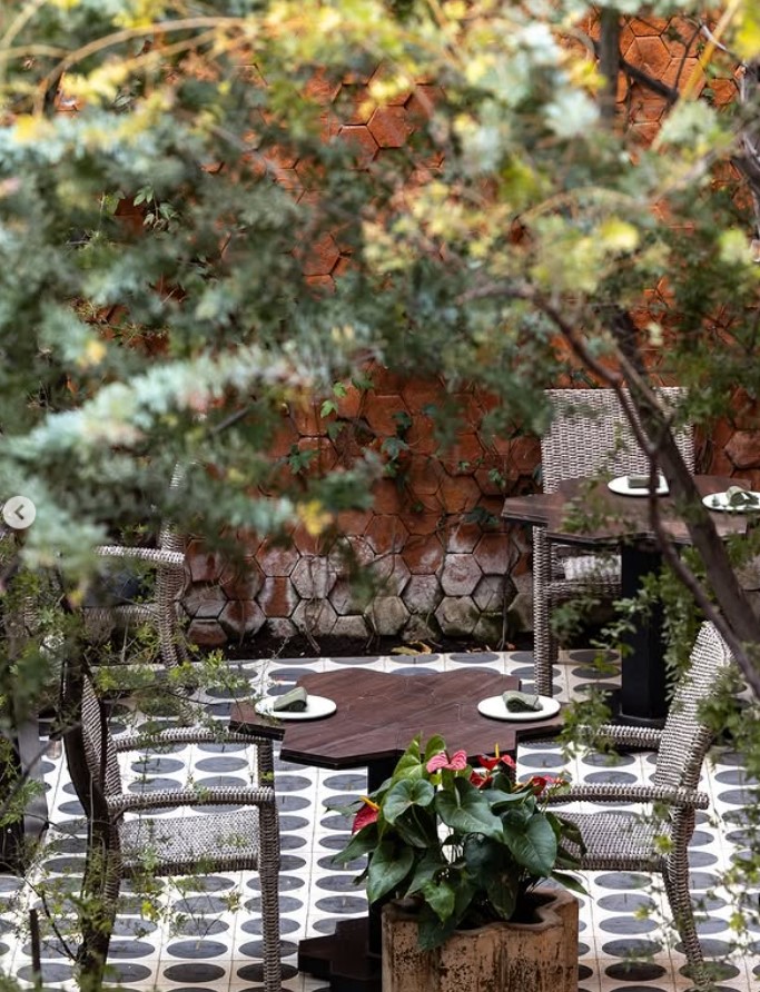 meilleurs restaurants à guadalajara restaurants -Octo