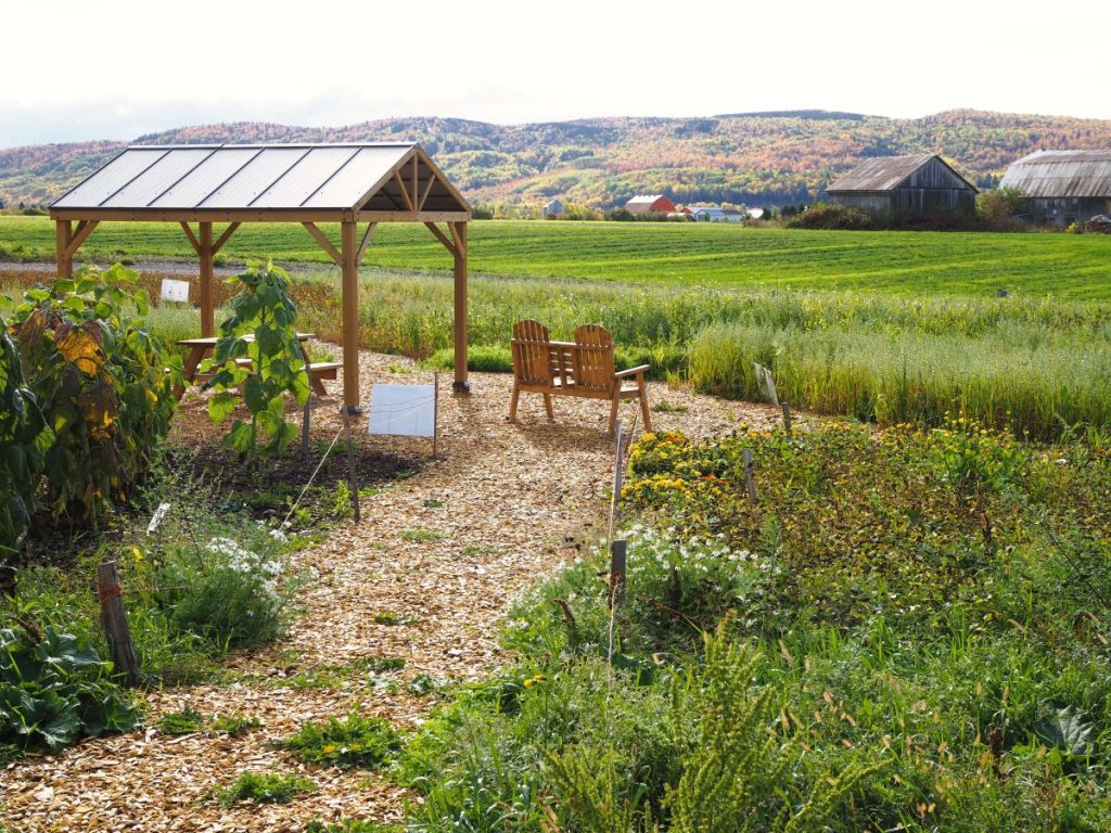 Activités à faire Lac-Saint-Jean - Ferme TournevenT - What to do in Lac-Saint-Jean