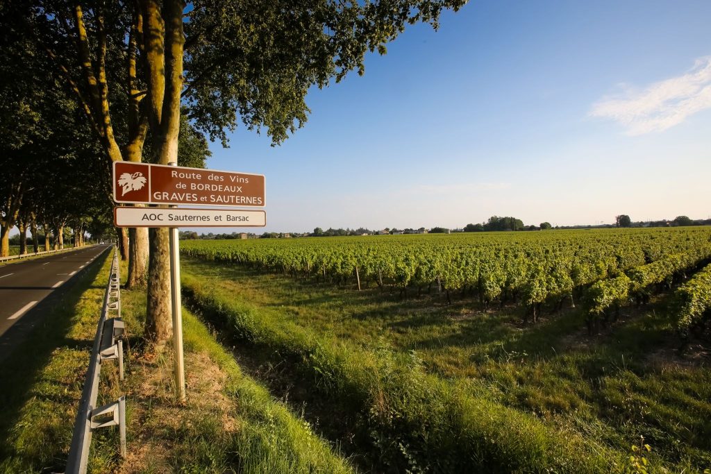 Bordeaux wine regions - La route des vins de Graves et Sauternes