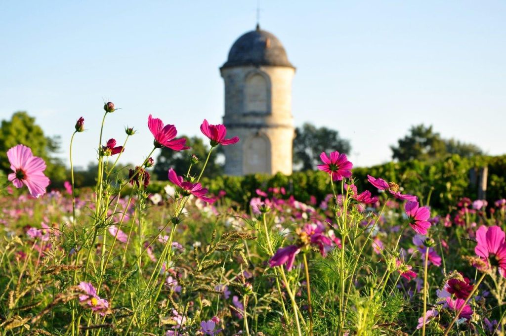 Château de Portets - tourisme vin Bordeaux wine tour