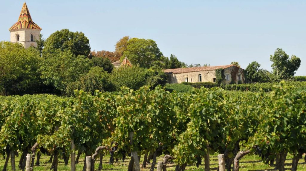 La route des vins de Blaye et Bourg Crédit photo Richard Vilalon Bordaux Tourisme - wine tourism bordeaux