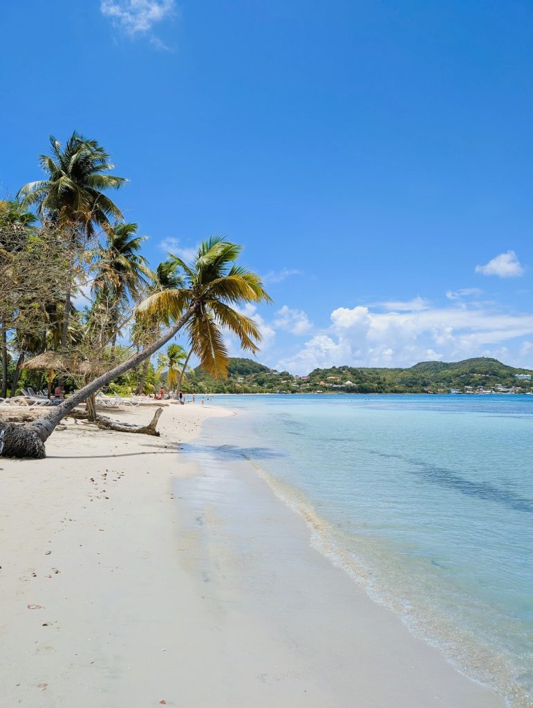 martinique with kids - martinique en famille - club med les boucaniers sainte anne