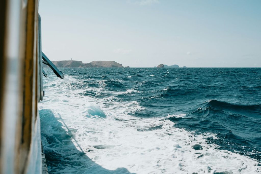 iceland day trips cruise - excursion bateau islande