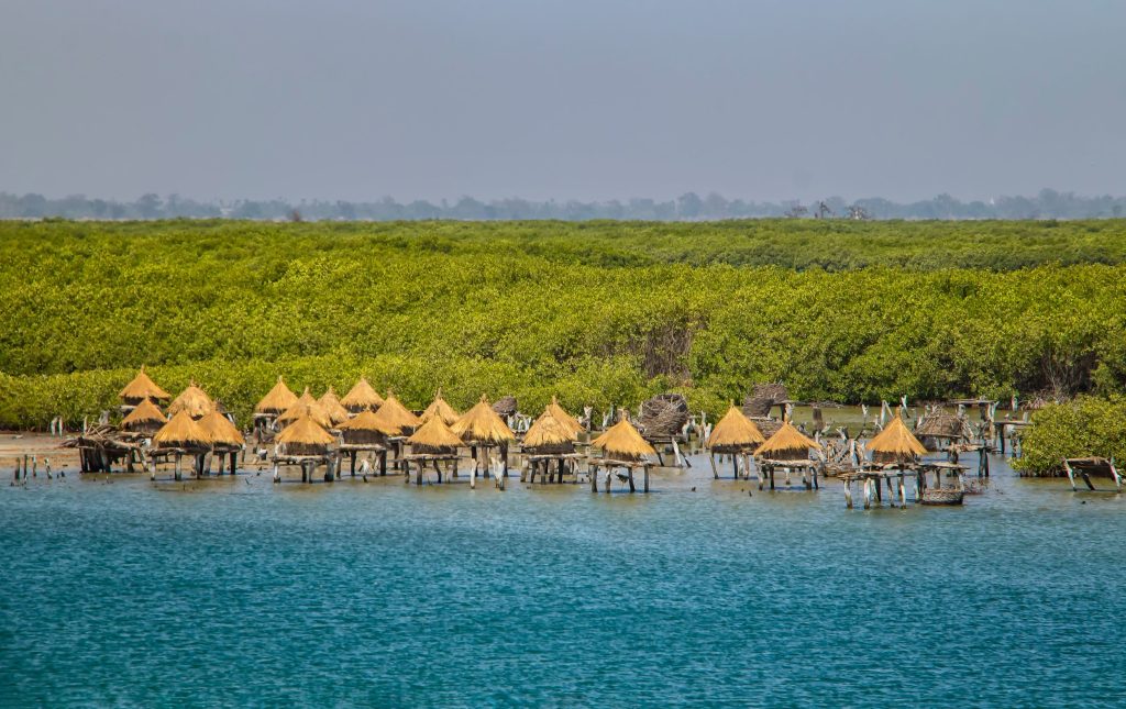voyage au sénégal - travel senegal (2)