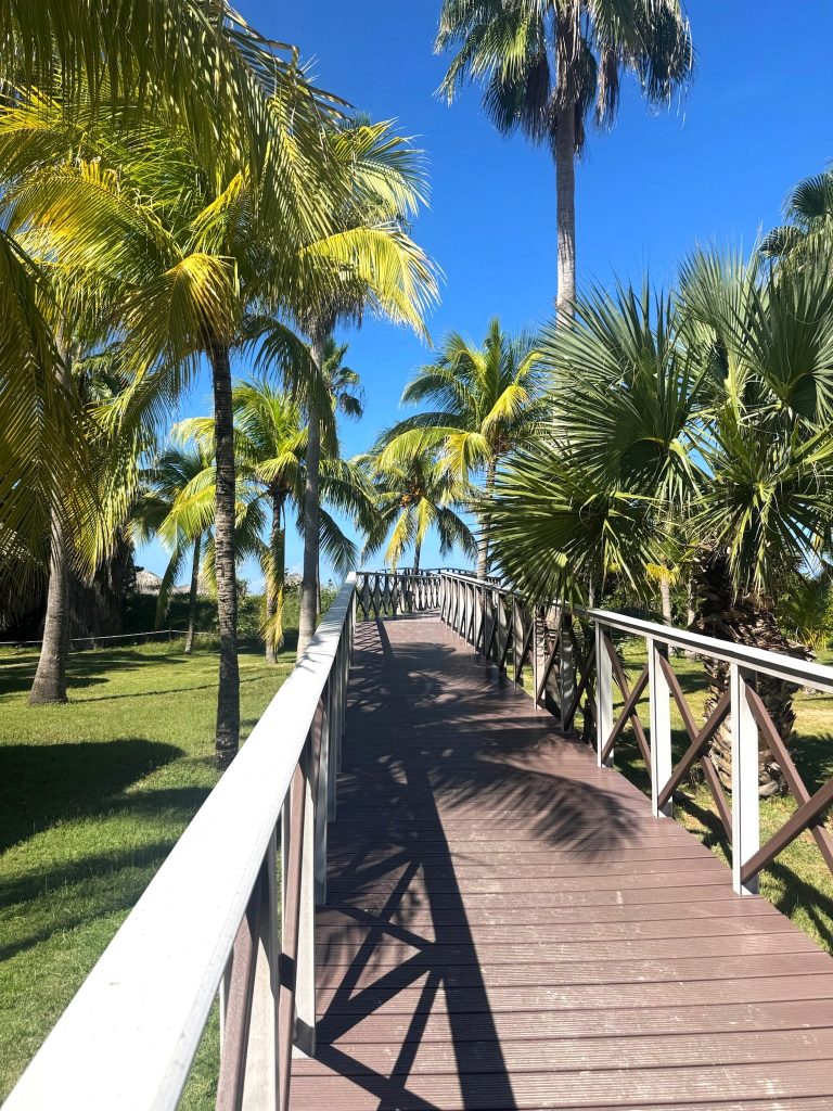 Cuba Transat Duo forfait Iberostar Varadero