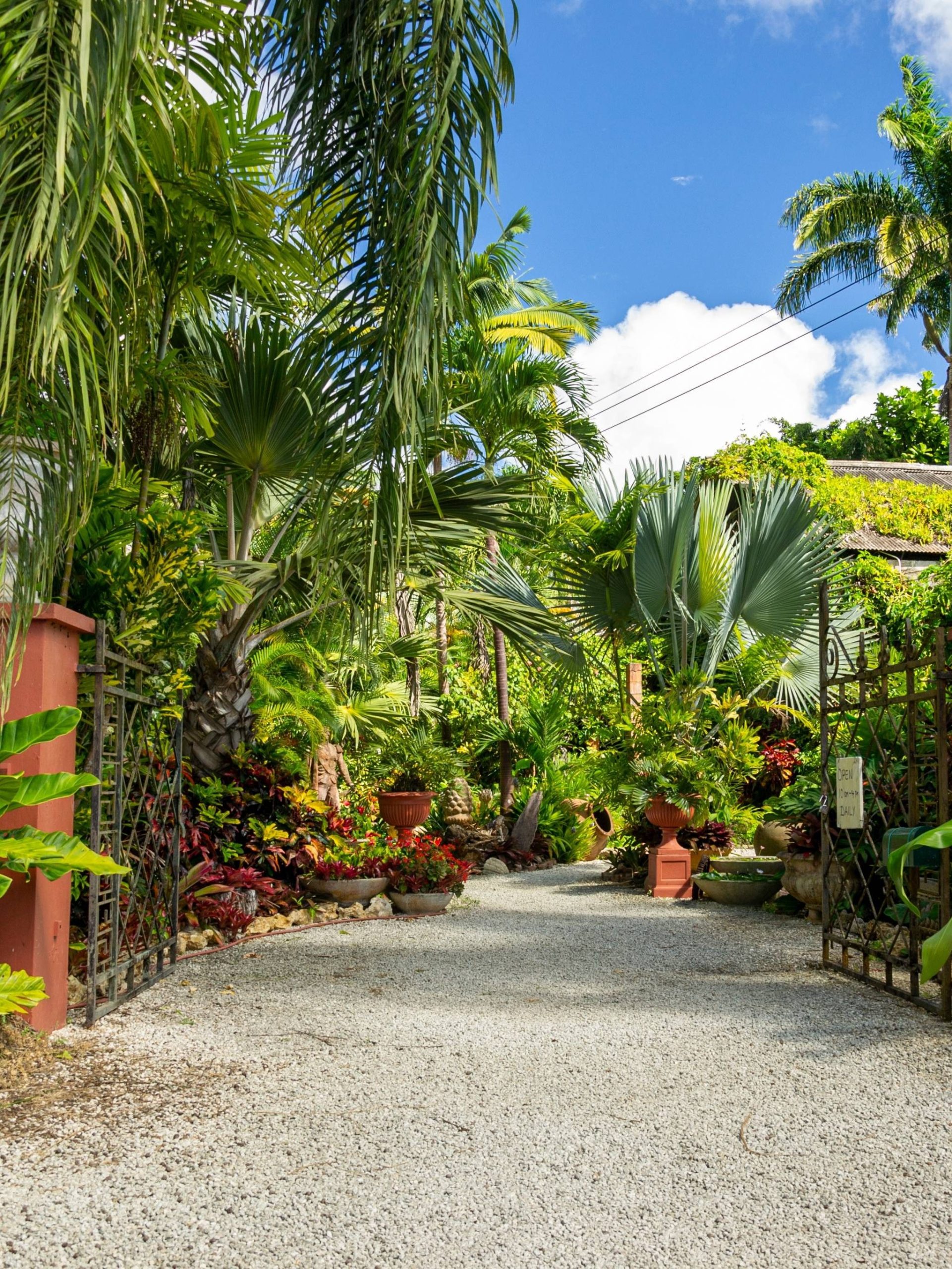 Hunte's Gardens Barbados