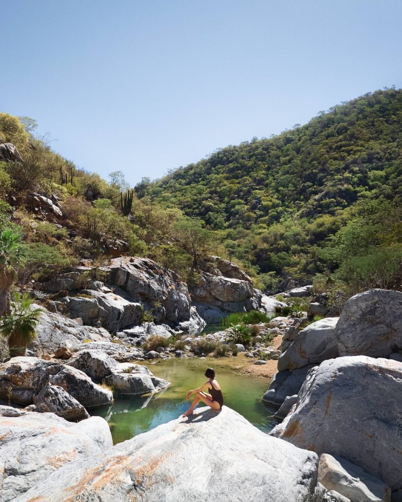 Sierra de la Laguna - Los Cabos