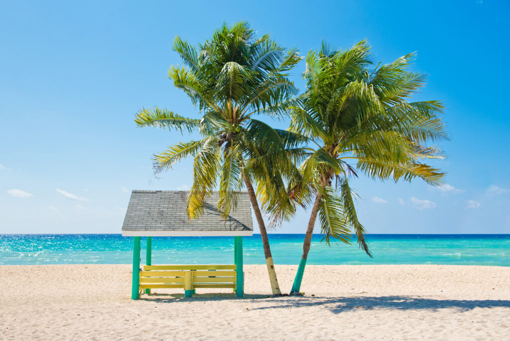 Caribbean beach with palm trees, Grand Cayman, Cayman Islands.