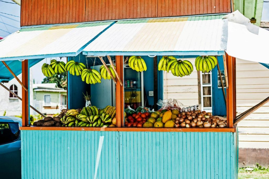 guide voyage barbade - barbados travel guide
