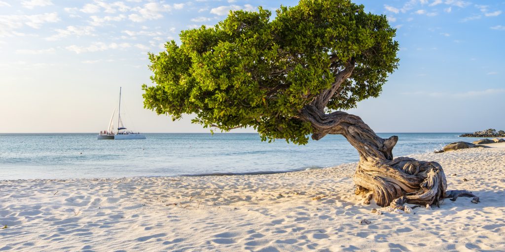 voyage à aruba travel guide