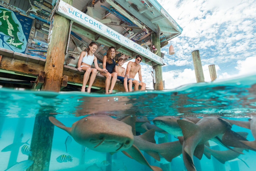 diving in Bahamas plongée - Crédit photo Bahamas Tourism