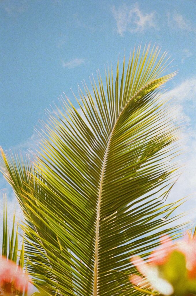 pourquoi aller aux bahamas - why travel to bahamas