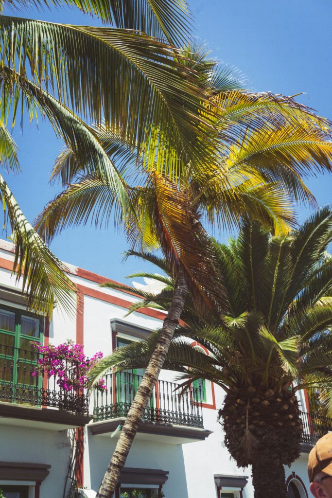 Gran Canaria