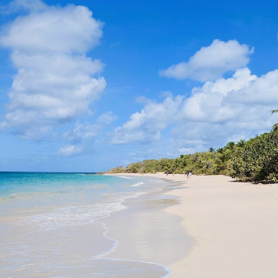 martinique plages - martinique beaches salines sainte anne