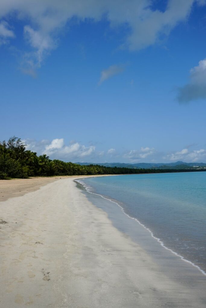 sargassum beach dominican republic - viva miches - plage sans sargasse république dominicaine