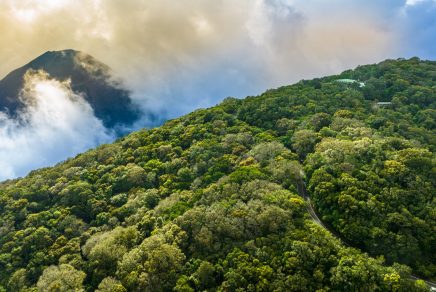 Cerro Verde carretera
