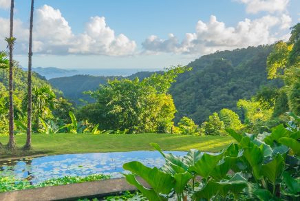 voyage en Martinique