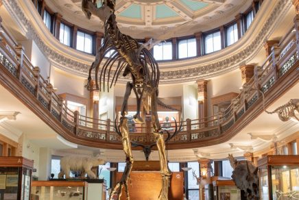 Montreal avec des enfants - things to do in Montreal with kids