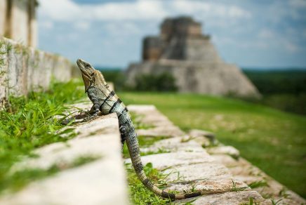 day trips from tulum excursions
