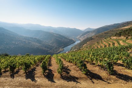 excursion d'une journée dans le Douro - day trip to Douro from Porto