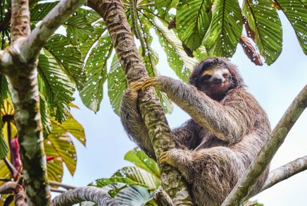 excursion to Anton Valley Panama