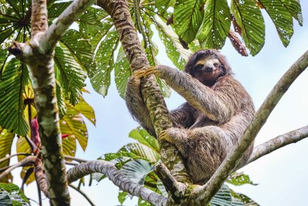excursion to Anton Valley Panama