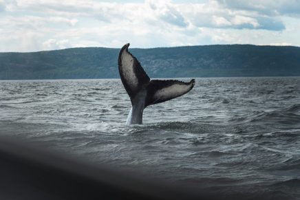 green tourism in Canada - tourisme durable au Canada