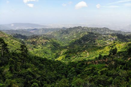 hiking in the Blue Mountains of Jamaica - randonnée dans les Blue Mountains en Jamaïque 2024