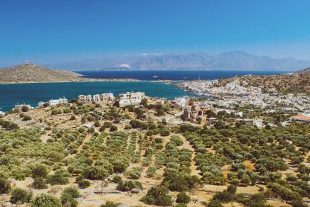 huile d'olive en grèce - Greek olive oil