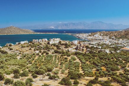 huile d'olive en grèce - Greek olive oil