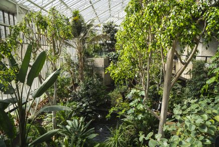 Tea Time in the greenhouses of the Barbican Centre Conservatory