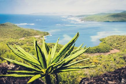 martinique