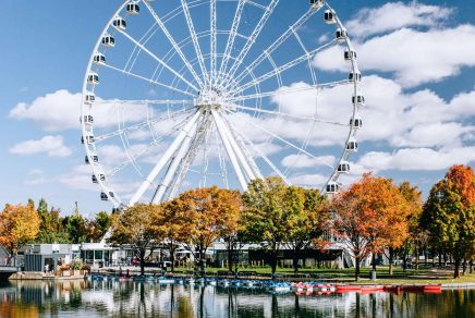 montreal in the fall - montréal en automne