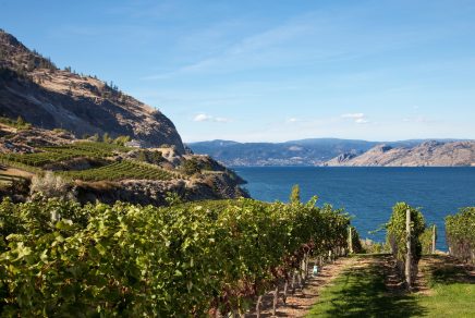 vignobles de l’Okanagan okanagan wine Photo credit Thompson Okanagan Eric Simard