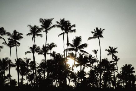 pluie_tout inclus_mood 3