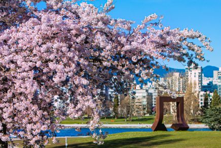 printemps à vancouver spring in vancouver Photo credit Destination VancouverVision Event Photography Inc.