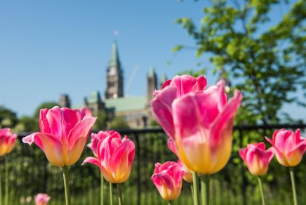 quoi faire à Ottawa - things to do in Ottawa Canada