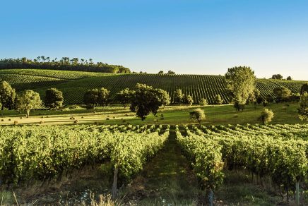route des vins bordeaux wine route route des vins bordeaux wine route