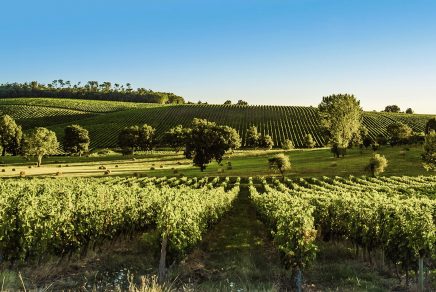 route des vins bordeaux wine route