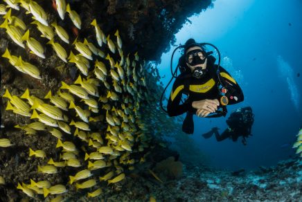scuba diving in cozumel - plongée à cozumel