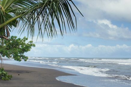Tortuguero Best Beaches Costa Rica