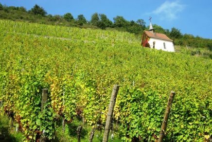 tourisme vins en France wine tourism