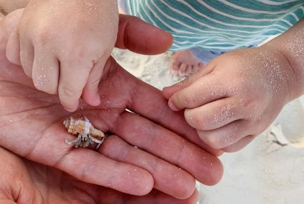 tout-inclus pour familles Sud Transat