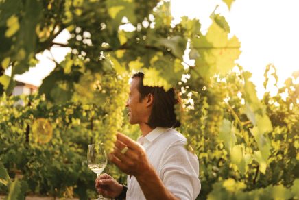 vins niagara wine trail ontario