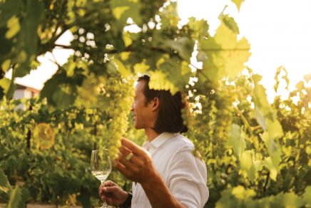 vins niagara wine trail ontario